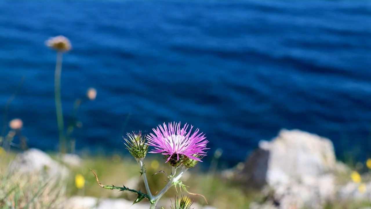 25-26 aprile 
Salento...Lu mare, lu sule e lu ientu.
Con calette, grotte e spiag