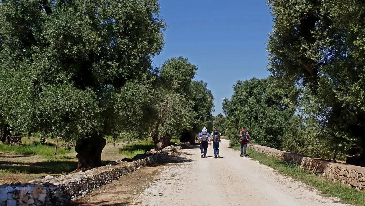 30 aprile - 4 maggio 
Trekking "Tra Cielo e Mare"
Ideato e realizzato dal gruppo
