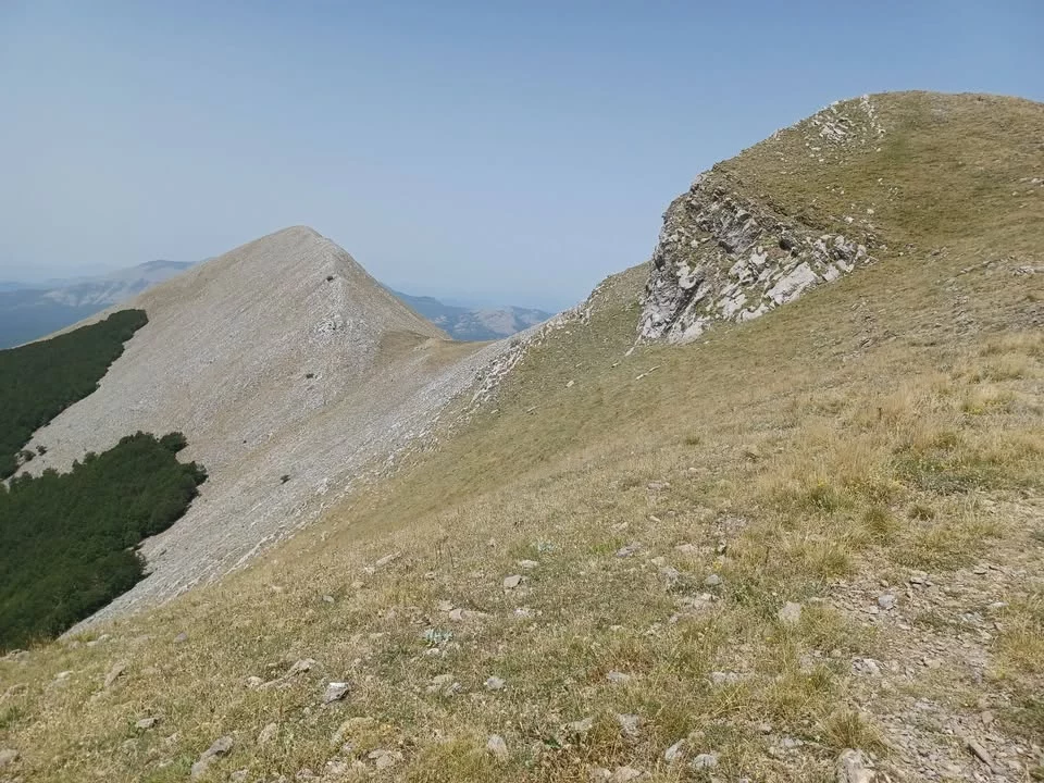 Come da programma, domenica 19 luglio 2026, escursione sulla vetta Santa Croce /