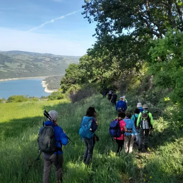 Domenica 4 maggio: Carlantino lago di Occhito, un lago di confine!

Il lago di Occhito è un invaso artificiale creato da uno sbarramento sul Fortore che si estende per circa 12km.
Il lago appartiene per metà alla provincia di Campobasso e per la restante metà alla provincia di Foggia.
Immerso in una natura incontaminata e con i recenti  ritrovamenti archeologici della zona circostante, rappresenta quell'angolo della Puglia ancora da tutta da scoprire.

Foto Meri Frallonardo, Mimmo Intini